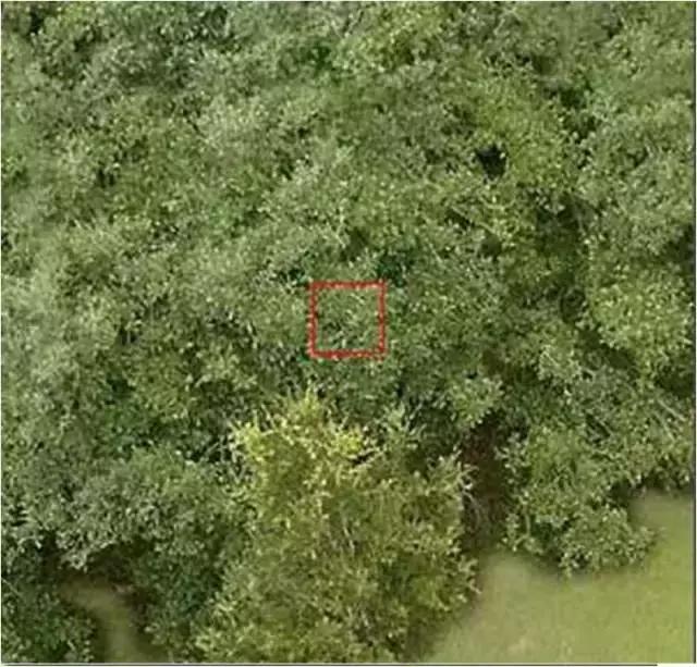 色即是空：这些图片看完后你还有什么想不通？