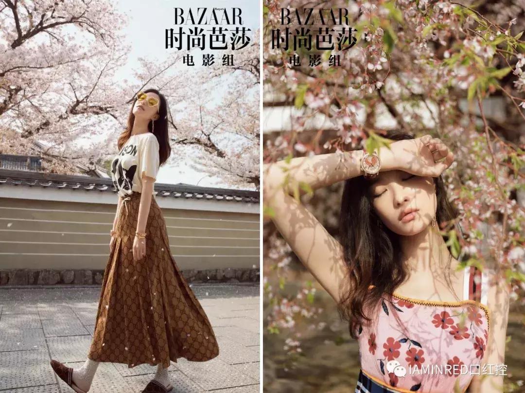 什么时候去日本看樱花比较好,现在还有必要去日本看樱花吗