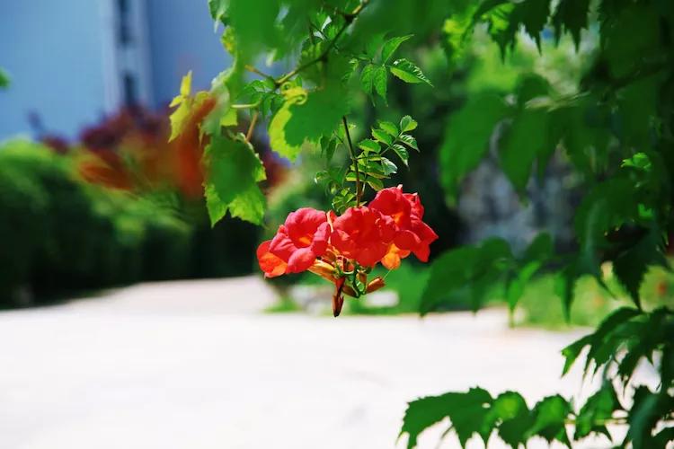 尼康入门单反,单反快速入门攻略