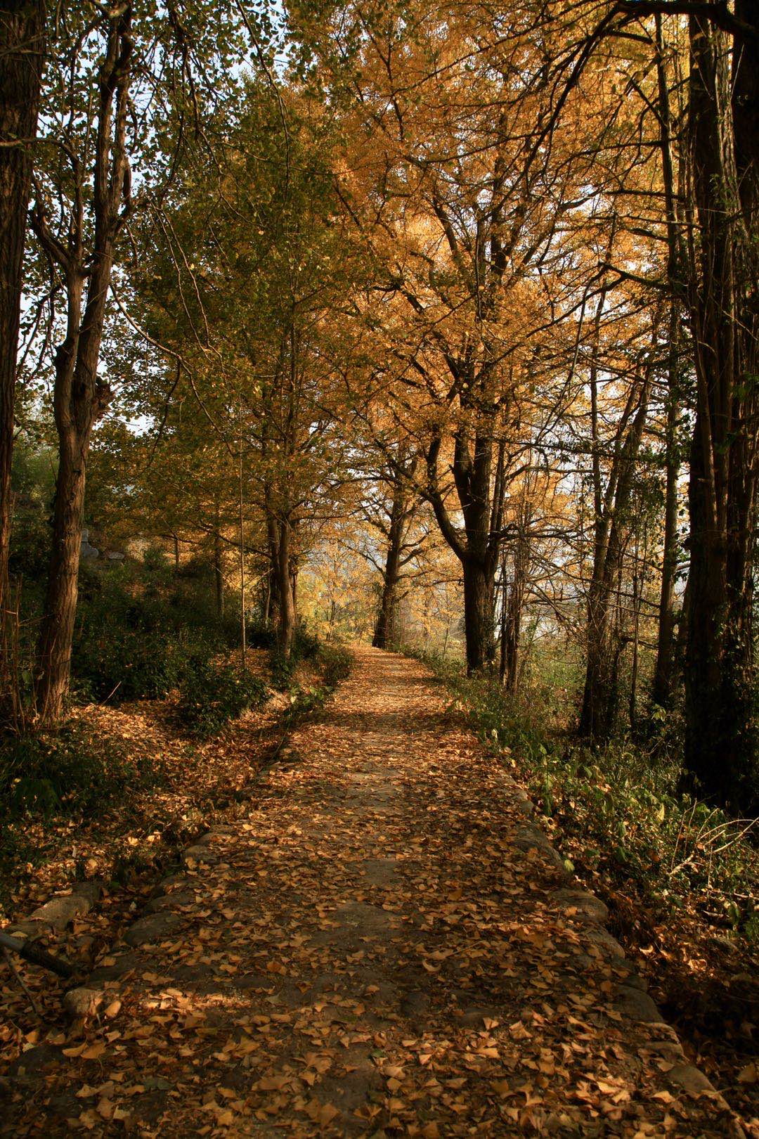 黄山和宣城的位置,安徽黄山适合居住