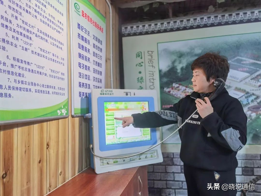 新农村致富故事,基本都是新农人的创业故事