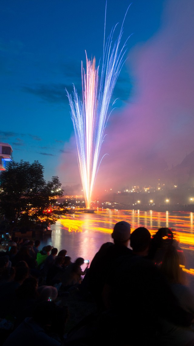 壁纸超清风景动物老虎,壁纸萌宠老虎