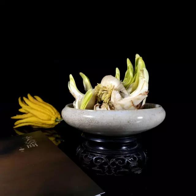 佛手只长叶不开花,佛手只有一种果子