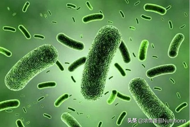 过量补益生菌对婴儿的危害,滥用抗生素肠道菌群紊乱会便秘吗