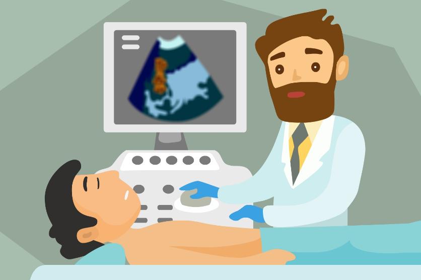 肝脏超声弹性成像,肝脏超声医学操作视频教程