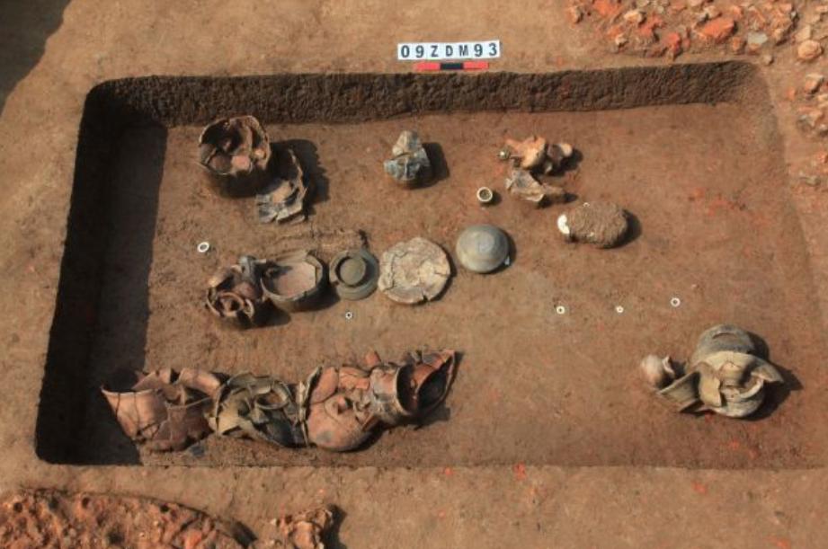 比利时专家在狒狒腓骨上，发现神秘符号，专家说：功能不好确定