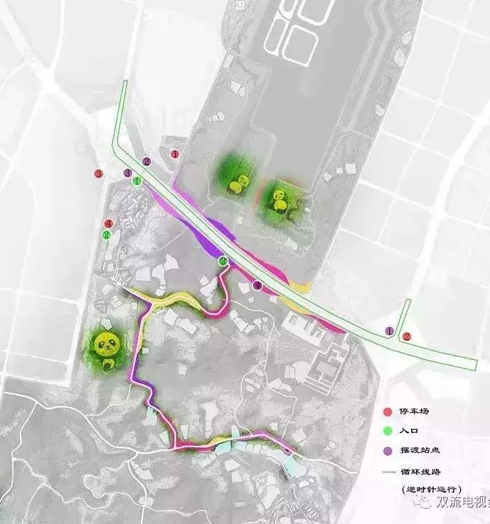 双流空港花田最新进展,双流空港花田开放了吗最新回复