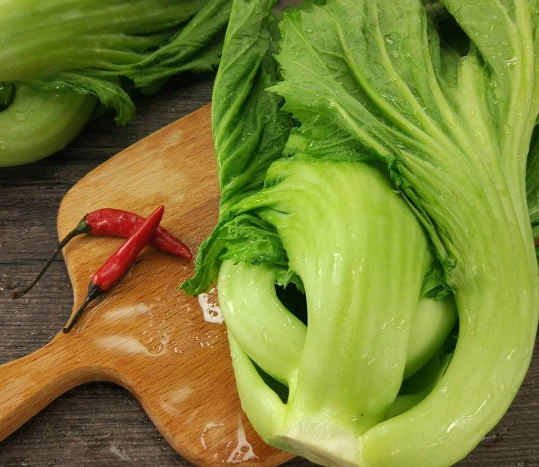 橄榄油是橄榄菜做的吗,橄榄油的橄榄跟普通橄榄区别