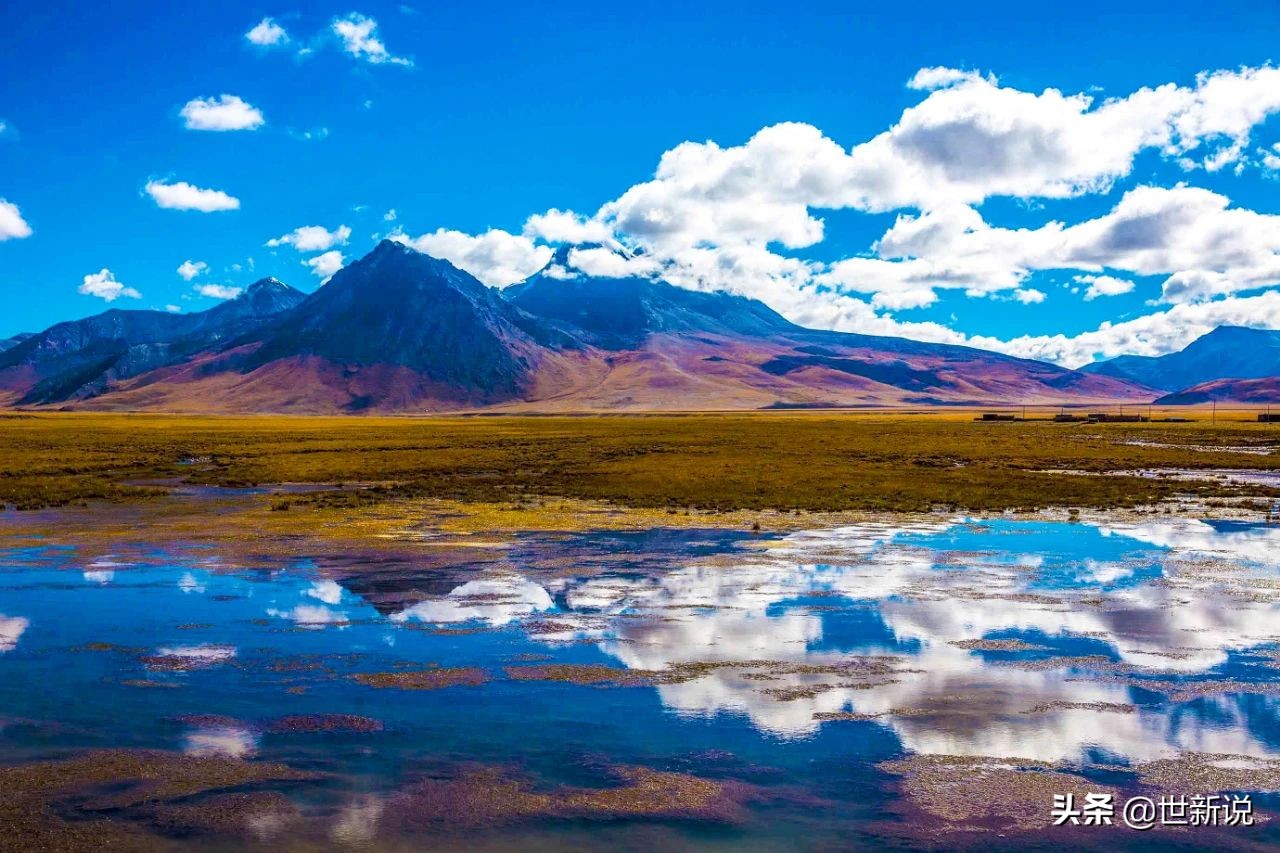鍏ヨ棌绗簩澶╁氨鎸戞垬5鍗冨娴锋嫈闆北,娴锋嫈2000澶氬氨鏈夐珮鍙嶈兘鍘昏タ钘忓悧