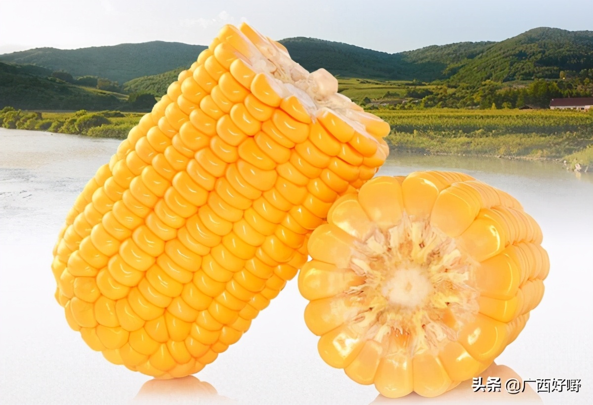 横县甜玉米:甜脆香嫩,饱满多汁