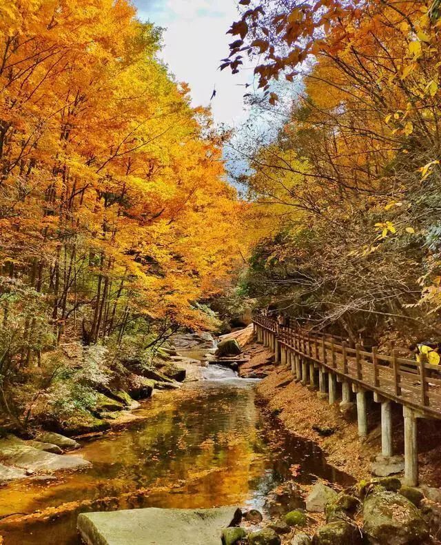 秋季人少景美的小众旅行地,最清静优雅的旅游之地