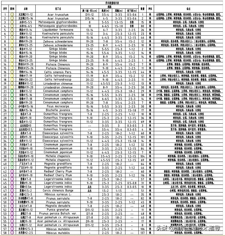 景观绿化提升项目施工技术方案,绿化种植施工方案范本