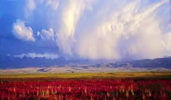 九曲十八弯河流,九曲十八弯水库