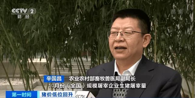 饲料暴涨,饲料行情暴涨