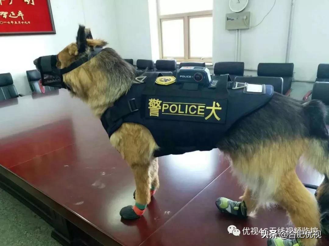 警犬新式摄像头,警犬全息防护系统