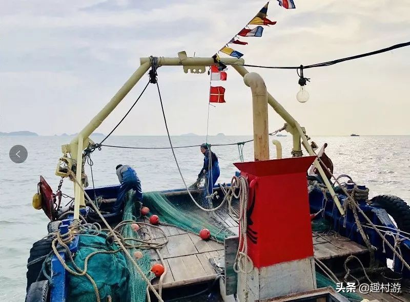 浙江人怎样吃海鲜,浙江吃海鲜很简单