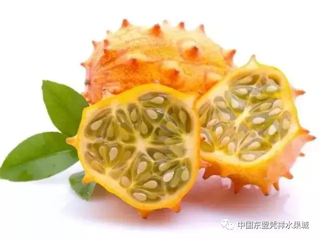 恶魔果实一共有几个形态,动漫中出现的恶魔果实