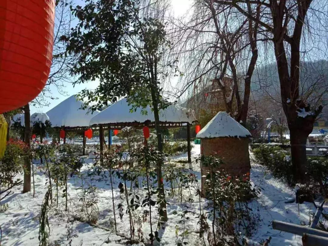 墨子古街观光小火车,中原雪乡晚上