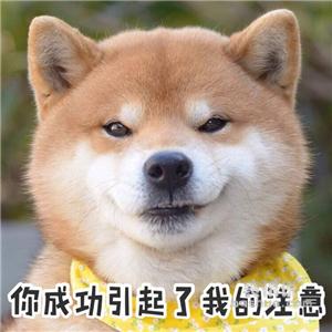 衬衣长时间未穿发黄怎么洗干净,太久没穿的白衬衫发黄怎么洗