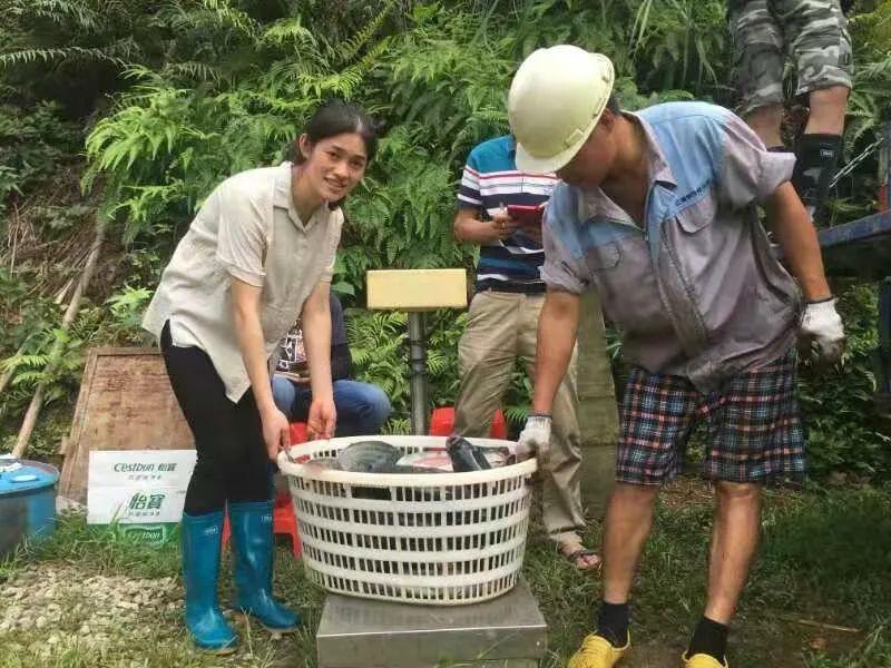 2022鑲囧簡鍦嗘ⅵ璁″垝,鑲囧簡鍦嗘ⅵ璁″垝