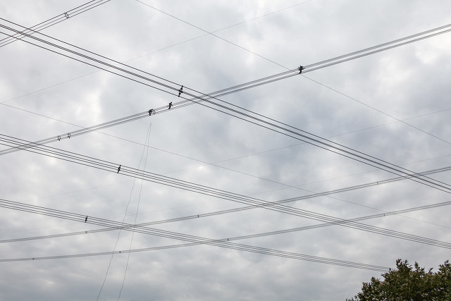 非全相动作后会启动重合闸吗,有两相重合闸吗