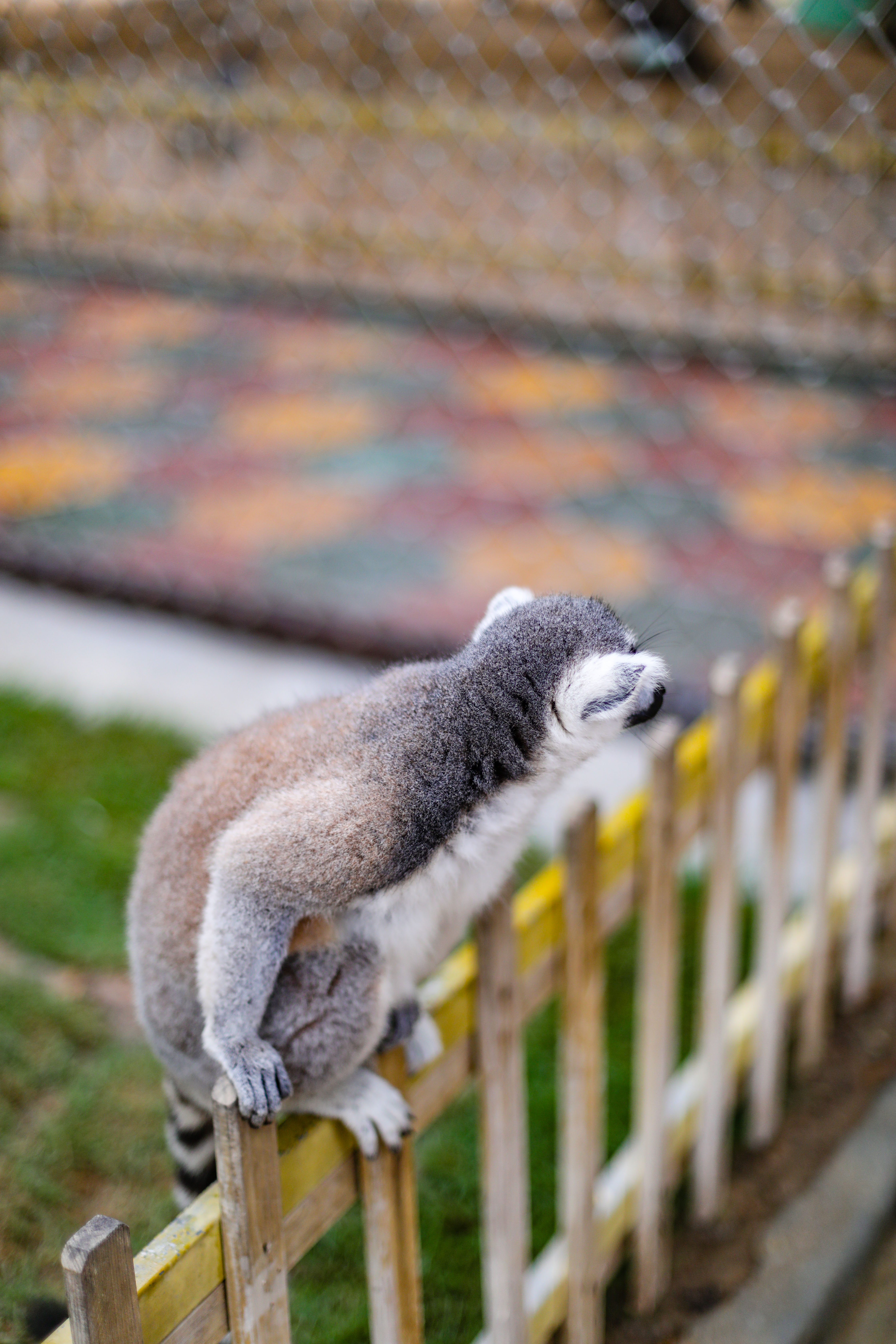 景点打卡东莞隐贤山庄,暑假东莞亲子游玩好去处隐贤山庄