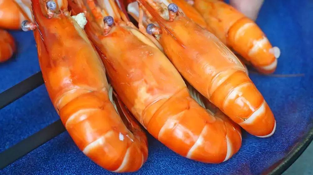 厦门90海里蒸汽海鲜自助,厦门岛内蒸汽海鲜自助