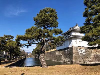 2020鏃ユ湰澶ч槳,澶ч槳浜兘濂堣壇鍏ぉ瀹夋帓