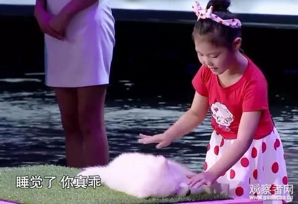 各种小动物是怎样装死的,动物装死是什么