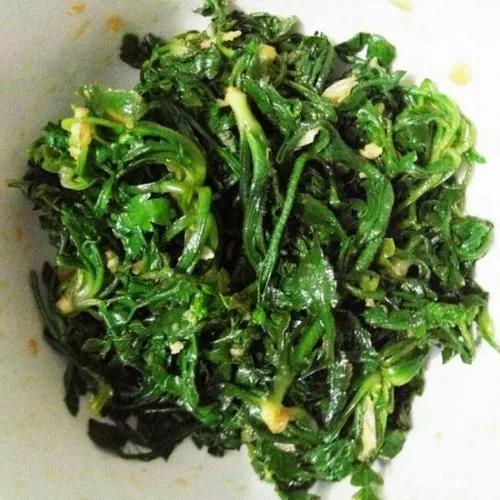 如何识别真假荠菜,假荠菜图片识别方法