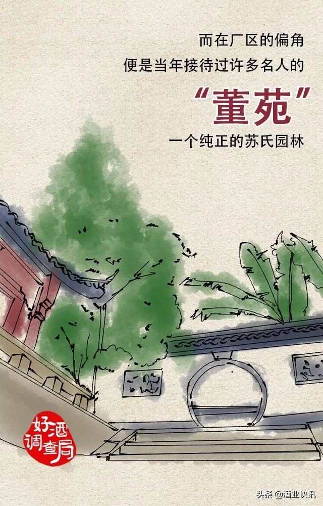 国密董酒佰草香54度多少钱,国密董酒54度多少钱一瓶