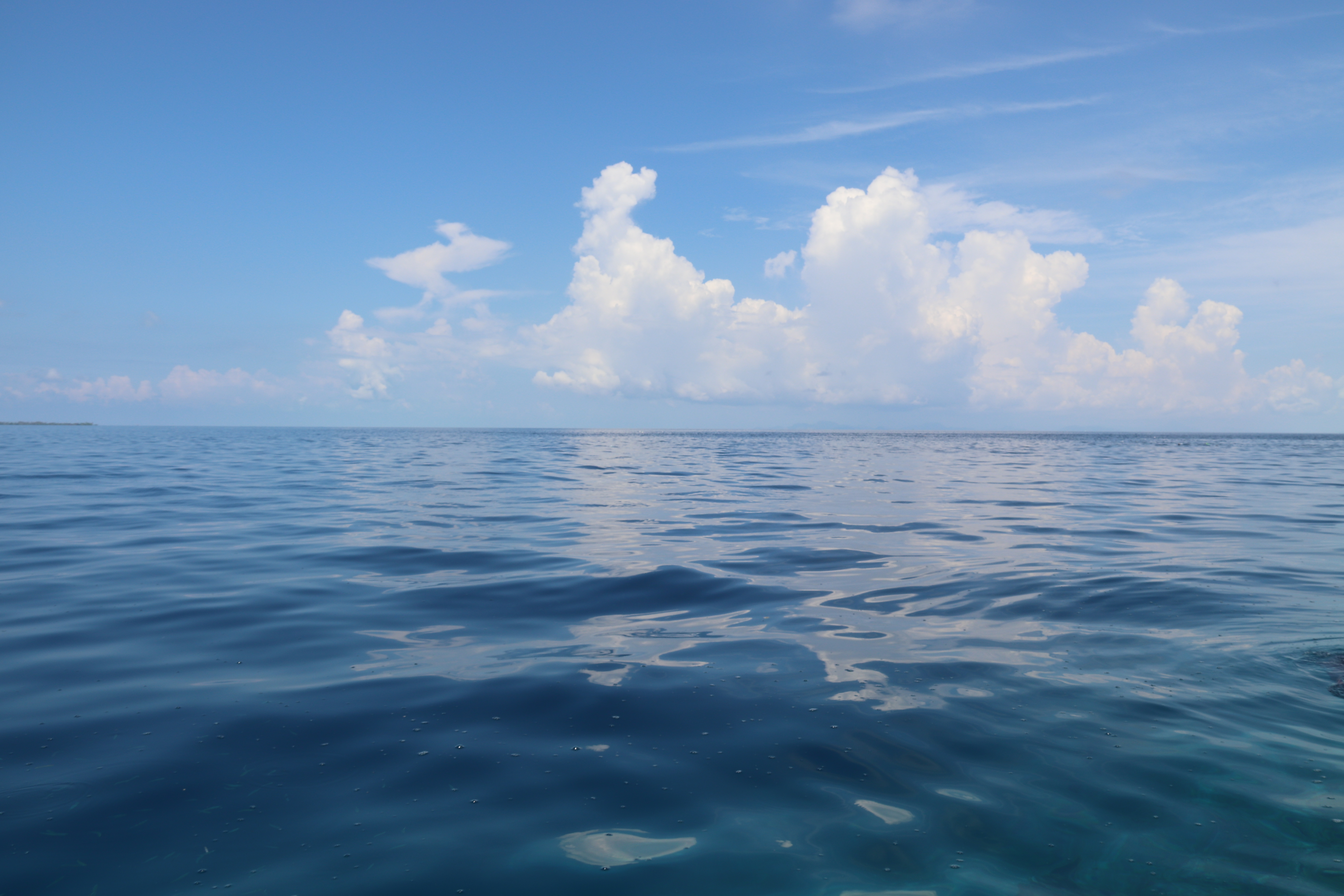 2018马来西亚之旅留影,2019回眸