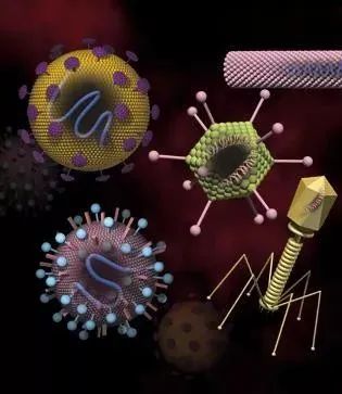 世界第一例病毒是什么,第一个病毒是怎么诞生的