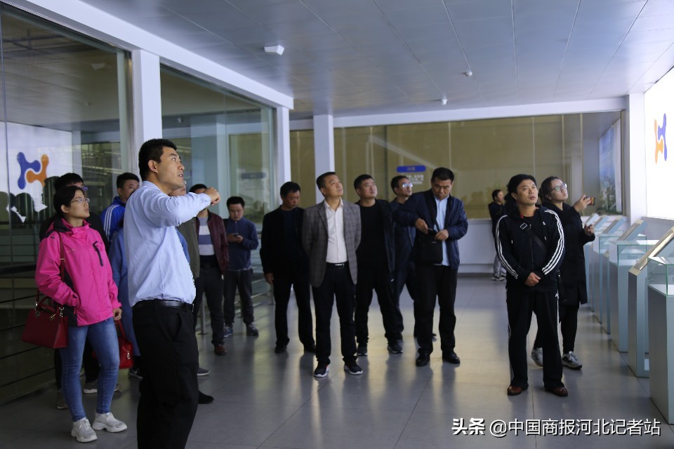 南和宠物食品博览会,河北省南和县宠物食品暗访