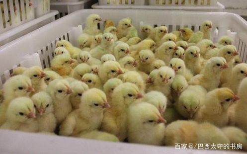 隋文帝杨坚篡位过程,杨坚怎样诛杀北周宗室