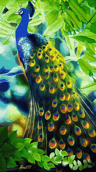 好久没见面了老同学想你了,老同学是我一生的牵挂