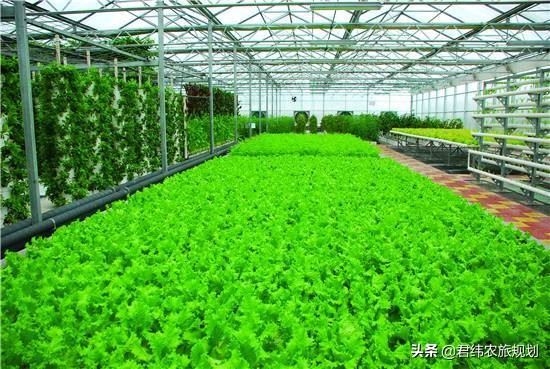 温室花卉种苗培育项目实施内容,农业花卉种植基地建设项目