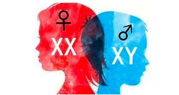 无性生殖动物是怎样生殖的,有性生殖的动物能进行无性生殖吗