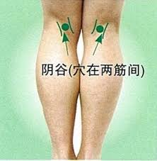 腘窝下一点是哪个穴位,大有乾坤的位置在哪里