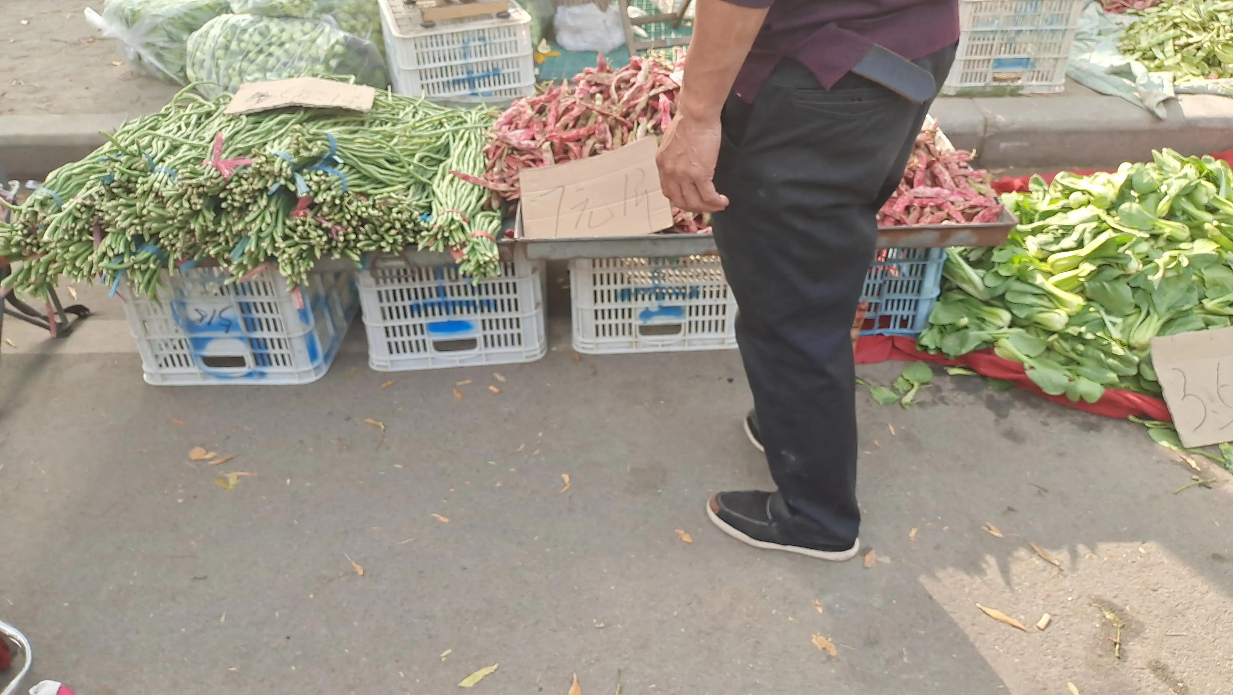 青岛城阳每日菜价查询官网,城阳惜福镇青松生态园菜价