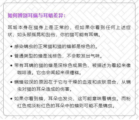 猫咪掉毛掉得厉害是什么原因,猫咪最近掉毛严重了因为啥