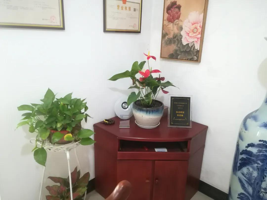 张启东:商人这个词在过去是用来骂人的!