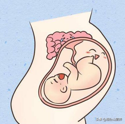 孕期便秘怎么解决小妙招,孕期便秘的原因及调理方法