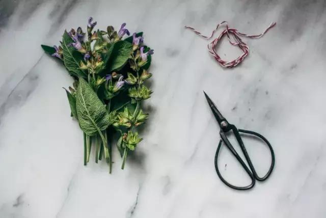 瑭碧香事|采一束香草，熏一段时光