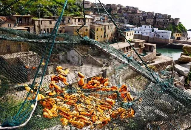 年夜饭大赏舌尖上的新年,各地年夜饭比拼吃什么才算有年味