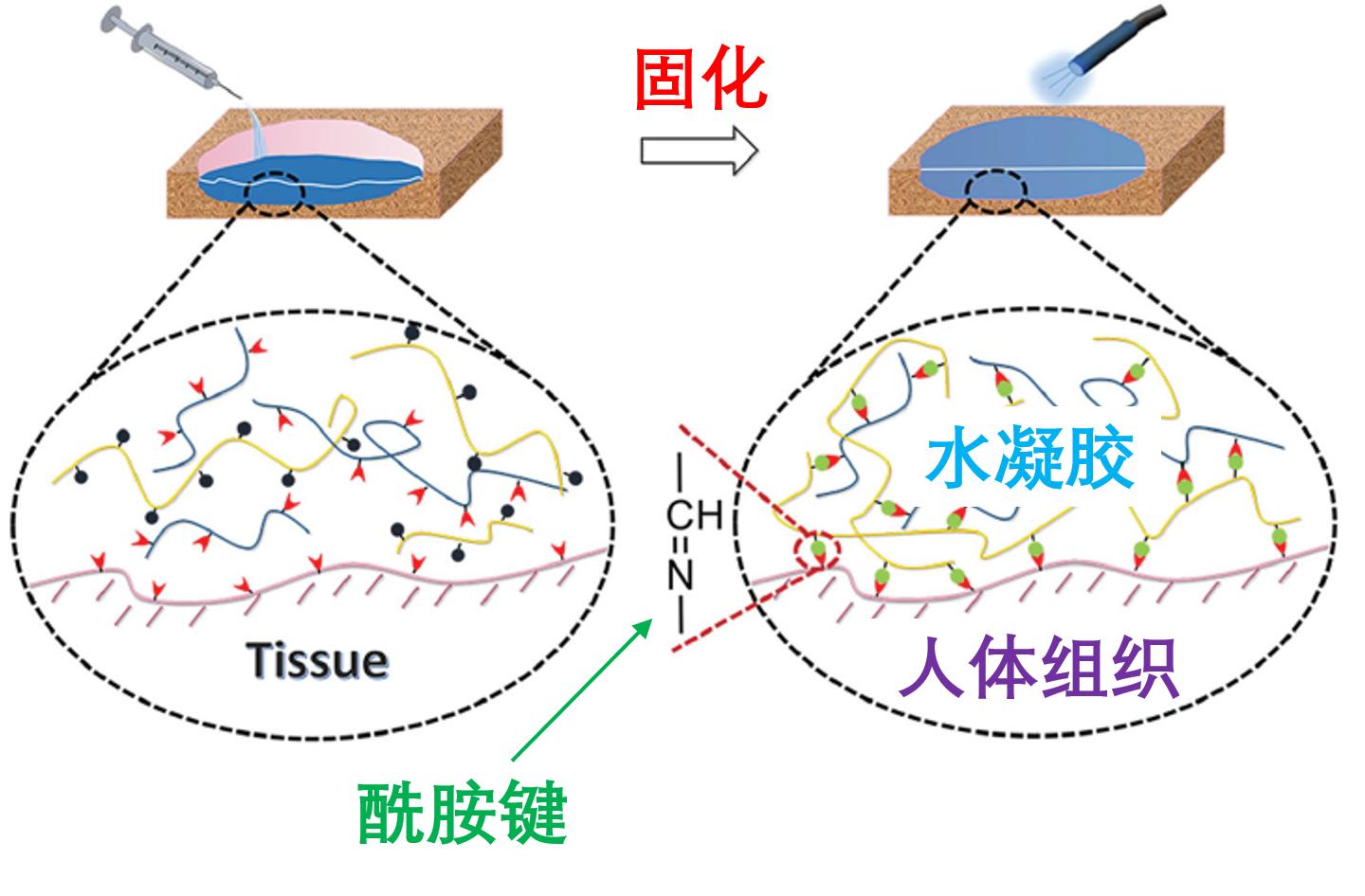 为什么便利贴的胶那么容易撕下来？