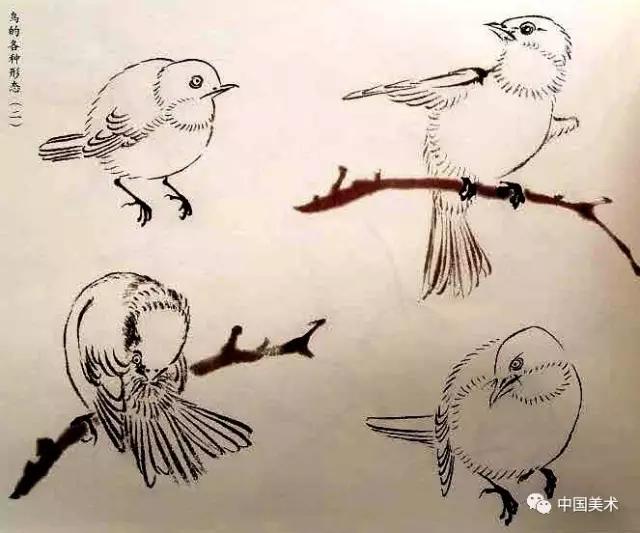 禽鸟画教程,最简单的禽鸟画法