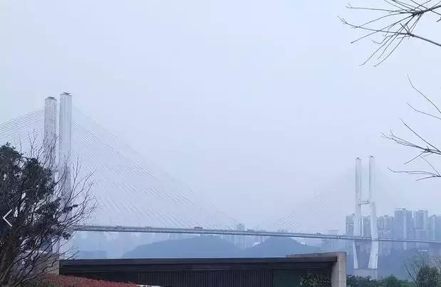 弹子石铂悦澜庭现在值得买吗,重庆弹子石铂悦澜庭二手房价格