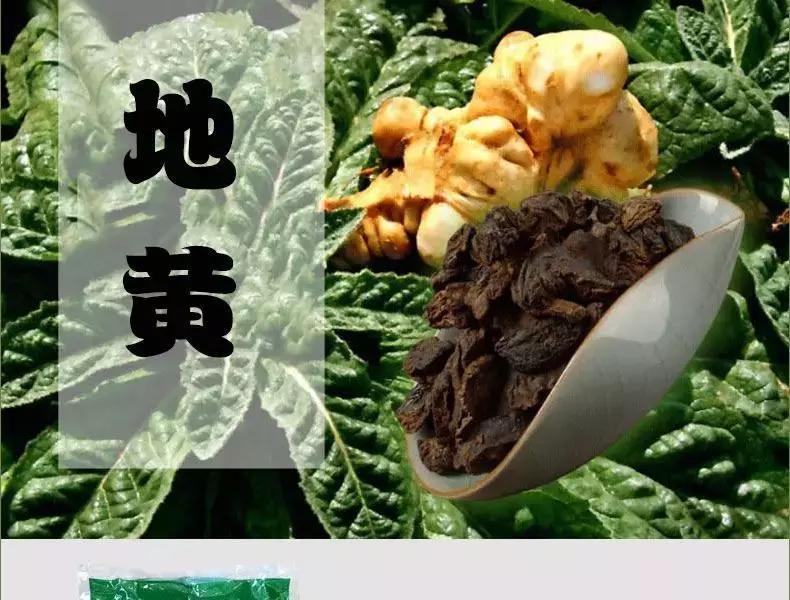 干地黄的性味归经,地黄的性味归经与图片