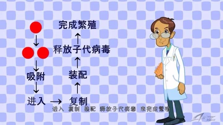 不出门看中国,不出门看世界卫星地图